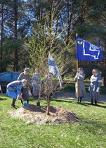 Muistopuun istutustilaisuus Kirjurinluodossa 12.5.21. Ensimmäisen lapiollisen laittoi rintamalotta Eeva Laikkala tukenaan puheenjohtaja Helvi Walli. Taustalla pikkulotat hallituksen jäsen Ritva Mannila (3. vasemmalta) ja hallituksen jäsen, pitkäaikainen taloudenhoitaja Aira Hyvärinen (1. oikealta). Airueina Suomen lippua kantava kuntoutusvastaava ja hallituksen jäsen Eila Aalto-Setälä ja yhdistyksen lippua kantava varapuheenjohtaja Britta Raitala.